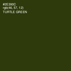#2E390C - Turtle Green Color Image